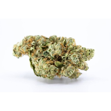 10G AMNESIA SNOW SMALL main image 0
