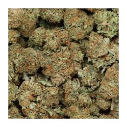 BUDDHA KUSH 10 G DR. WEED