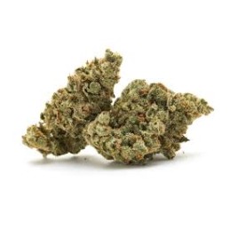 YUZU CBD STAR 3G