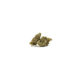 YUZU INDOOR 5G CBD STAR