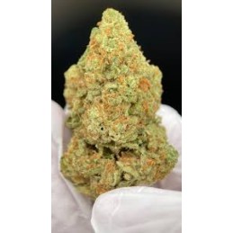 10G. AMNESIA CBD DR.SWEED