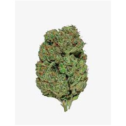 10G. GORILLA CBD DR.SWEED