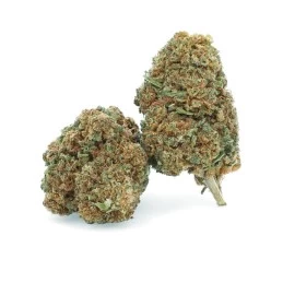 PINK CARAMEL 10G DR.WEED