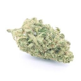 WHITE WIDOW INDOOR CBD...