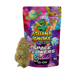 GELATO 10-OH IGUANA SMOKE