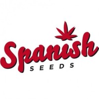 Spanish Seeds Auto