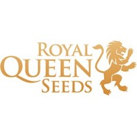 Royal Queen seeds Auto