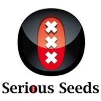 Serius seeds Auto
