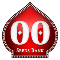 00 seeds Auto