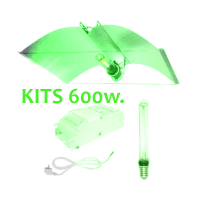 Kits 600W