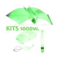 Kits 1000W