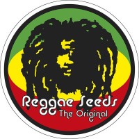 Reggae seeds CBD