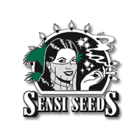 Sensi seeds CBD