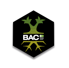 Logo BacPaginaCentral.png